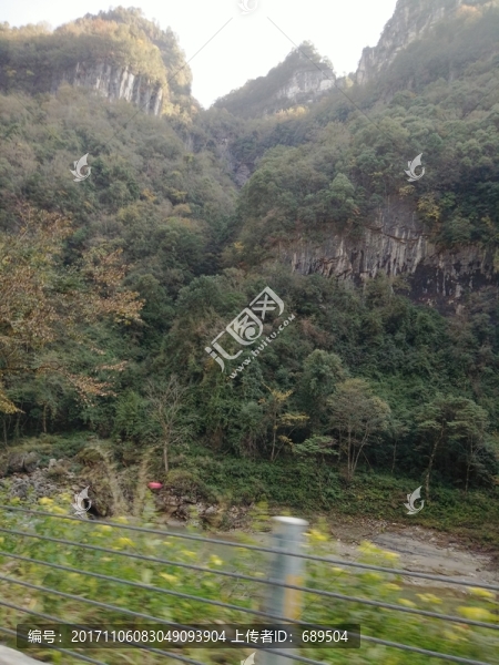 高山綠樹