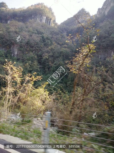 高山綠樹