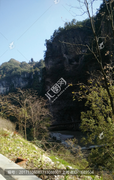 高山綠樹