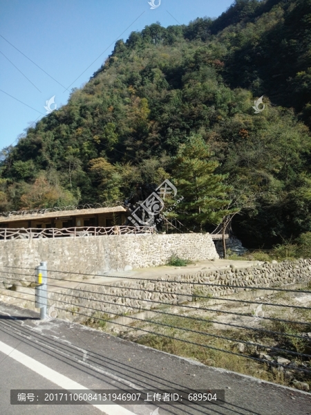 高山綠樹