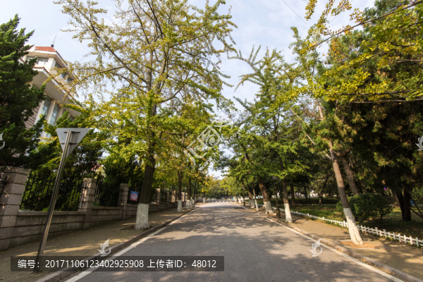 青島八大關(guān)景區(qū)