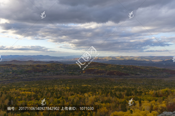 層林盡染