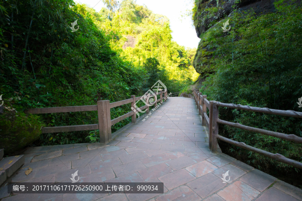 林間小道,棧道