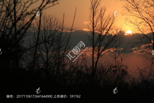 夕陽