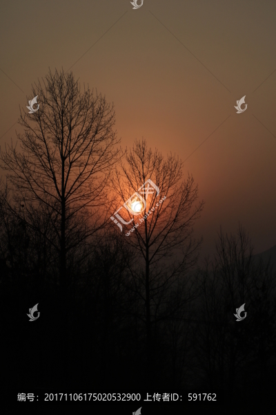 夕陽