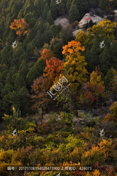 山中秋色