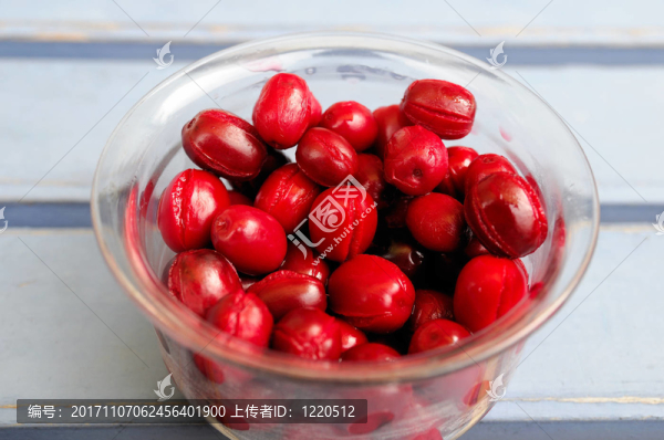 山茱萸kornelkirschen