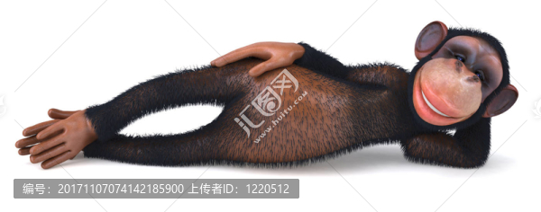 動物