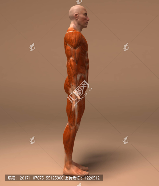 教育