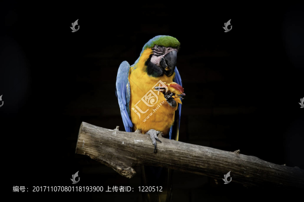 藍(lán)色