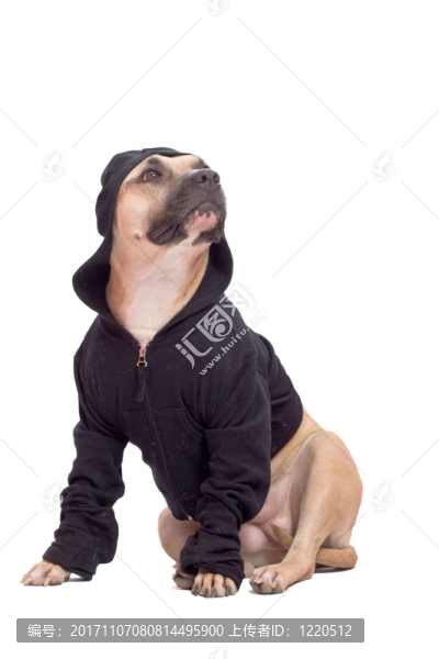 隔離的