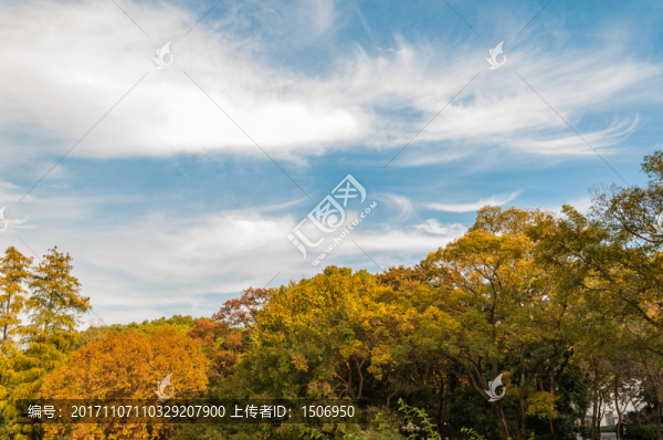 武漢大學(xué)秋景