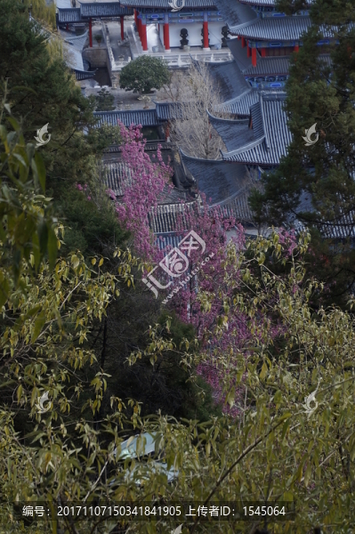 麗江古城,木府,全景