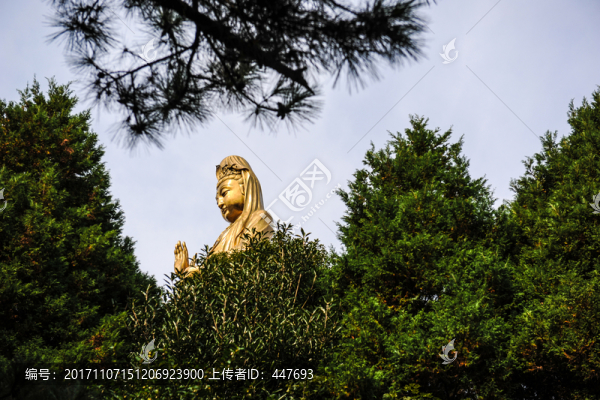 普陀山觀音