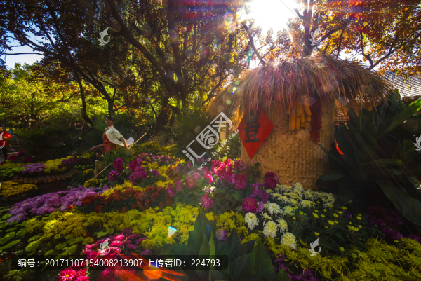 菊展