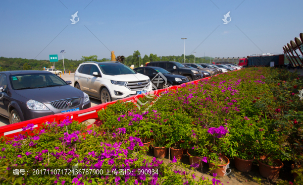 花海主題樂園,停車場