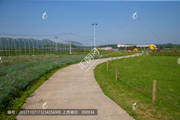 花海主題公園,道路