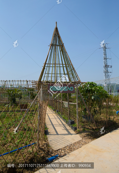 花海主題公園
