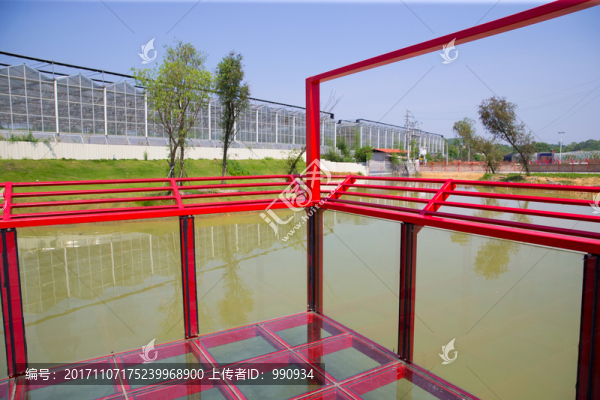 鱷魚(yú)湖,玻璃棧道