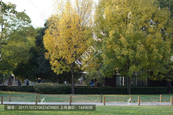 公園秋光