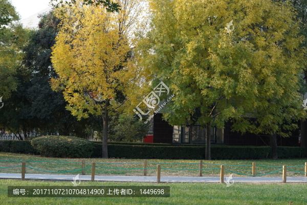 公園秋光