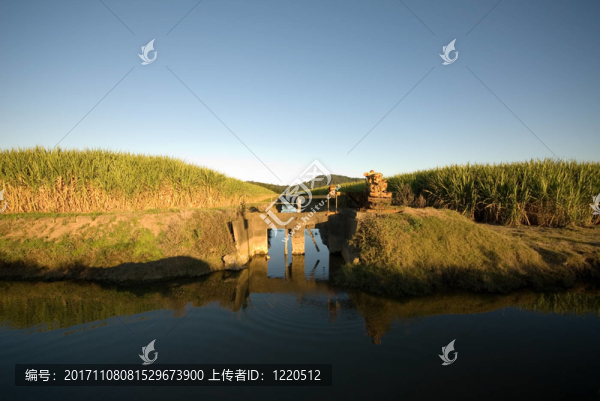 藍色