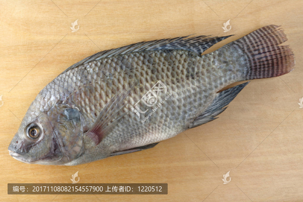 食物