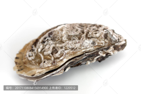 服飾華美的