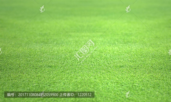 照片