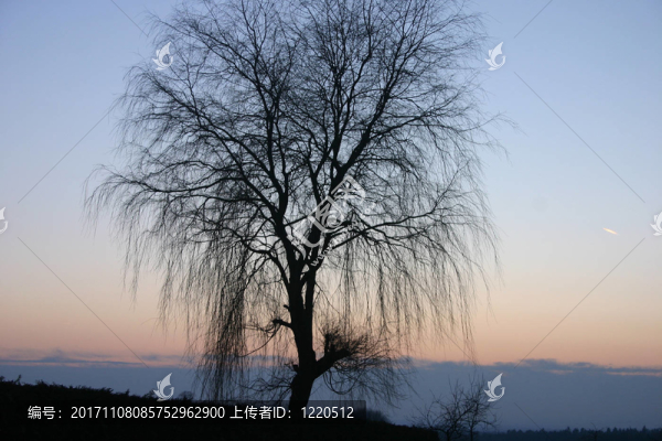 abendstille