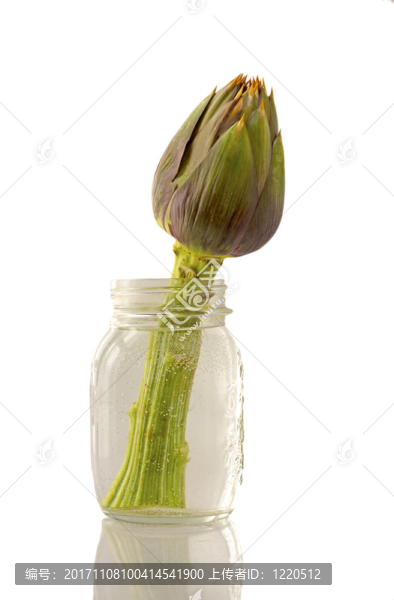 食物