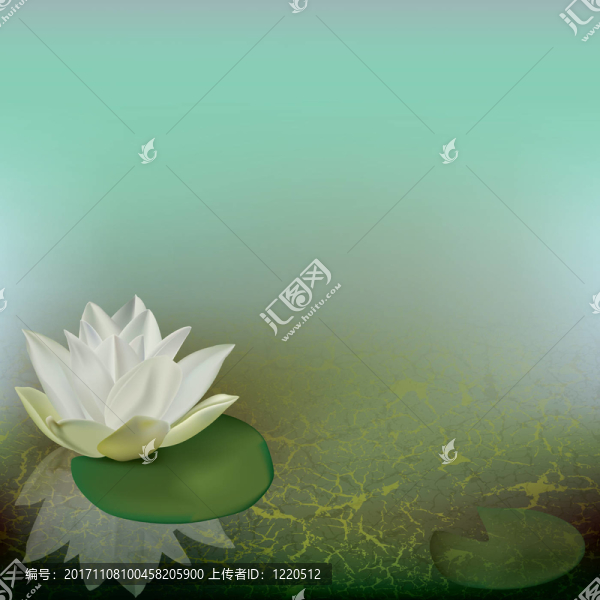 葉子