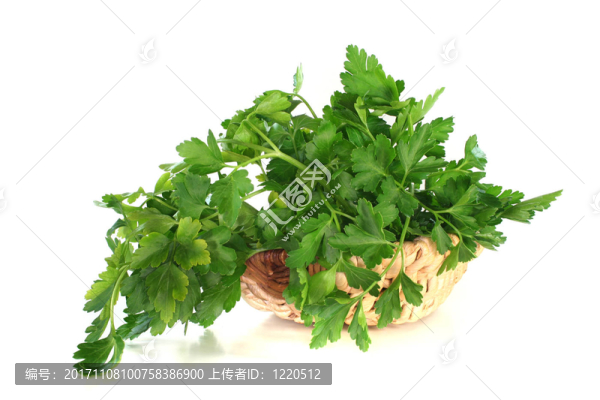 西芹
