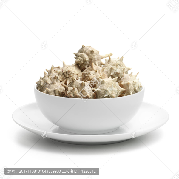 食物