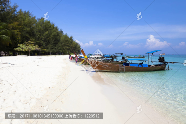 竹子冰島
