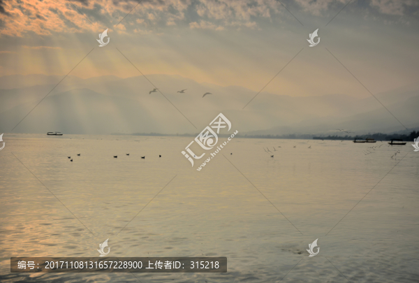 邛海,海鷗,霞光
