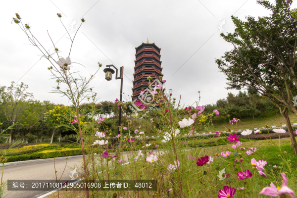 龍王湖公園格?；? title=