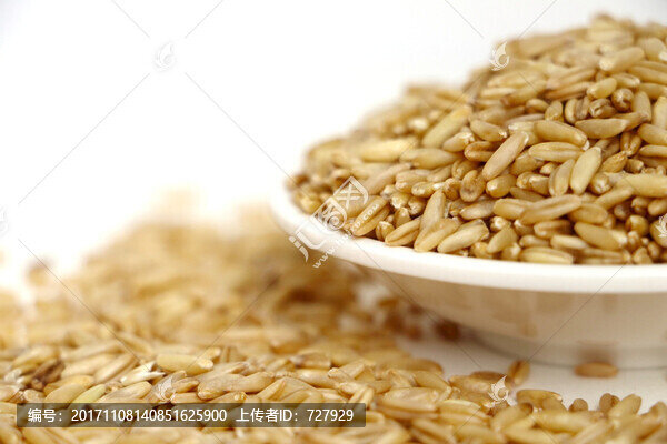 燕麥粒