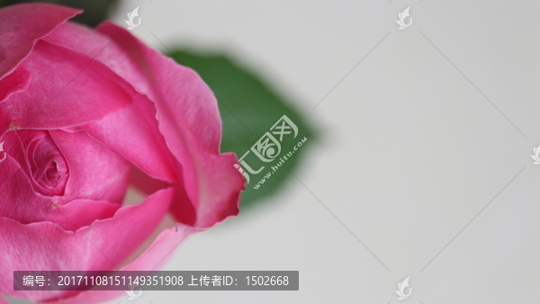 留白