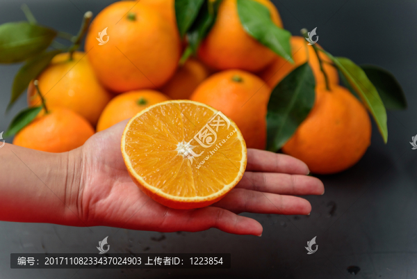 柑橘,橙子,耙耙柑,丑柑,愛(ài)媛
