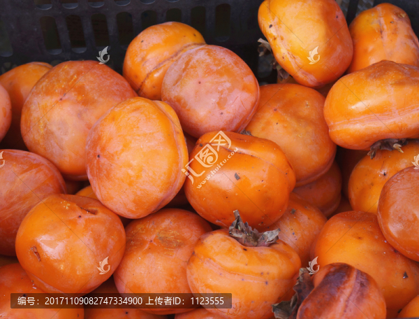 合柿,新鮮