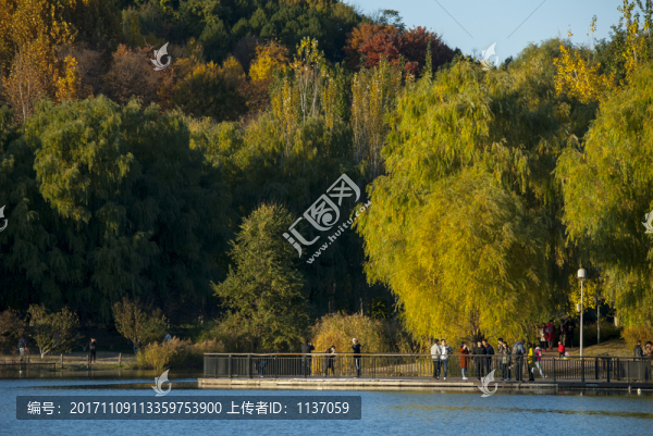 北京奧林匹克森林公園,秋色