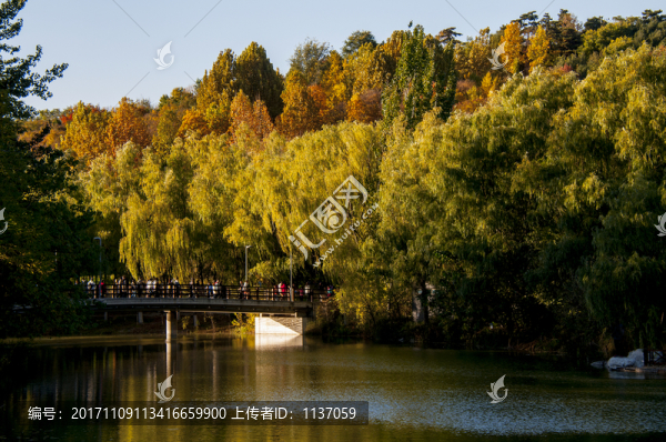 北京奧林匹克森林公園,秋色
