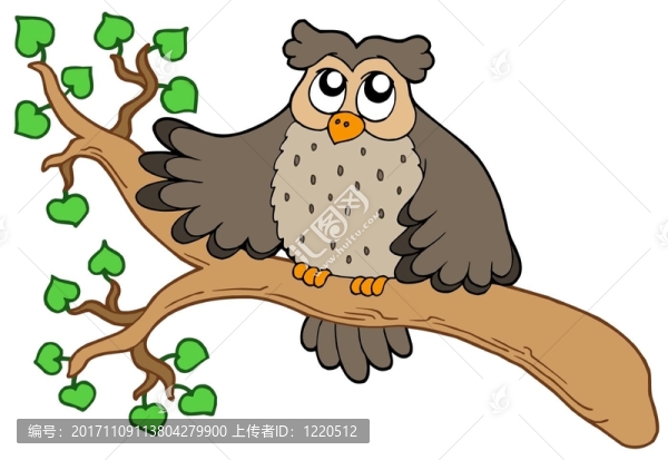 動物
