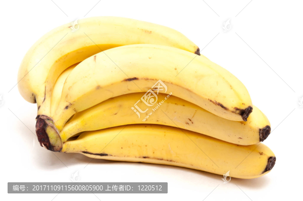 香蕉樹