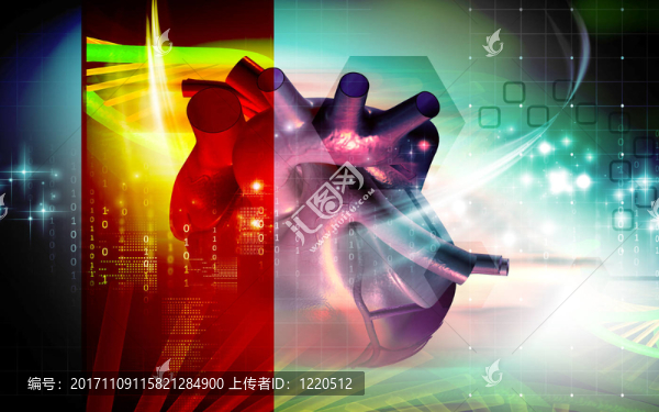 教育