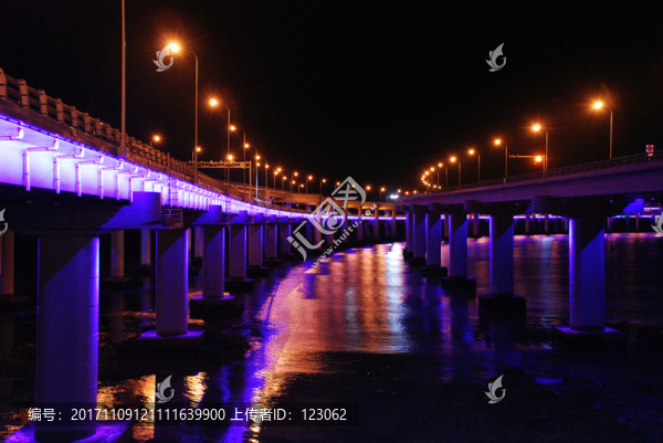 大連跨海夜大橋1