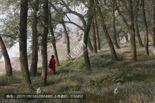 水蓼花開,（67）