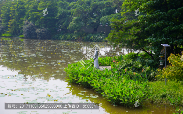 園林藝術,園林建筑