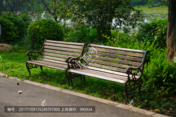 三水荷花世界